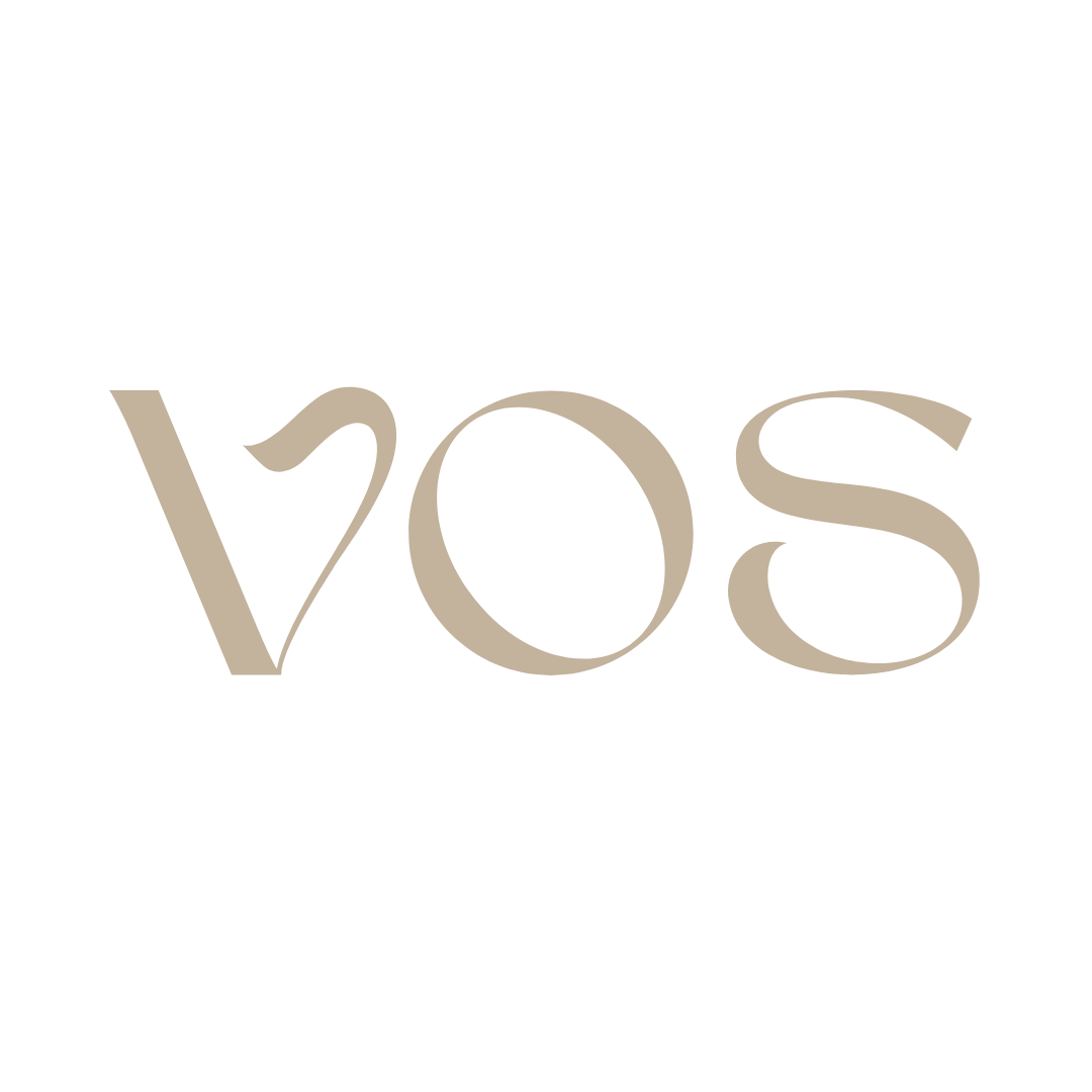 Venture OS LOGO Transparent